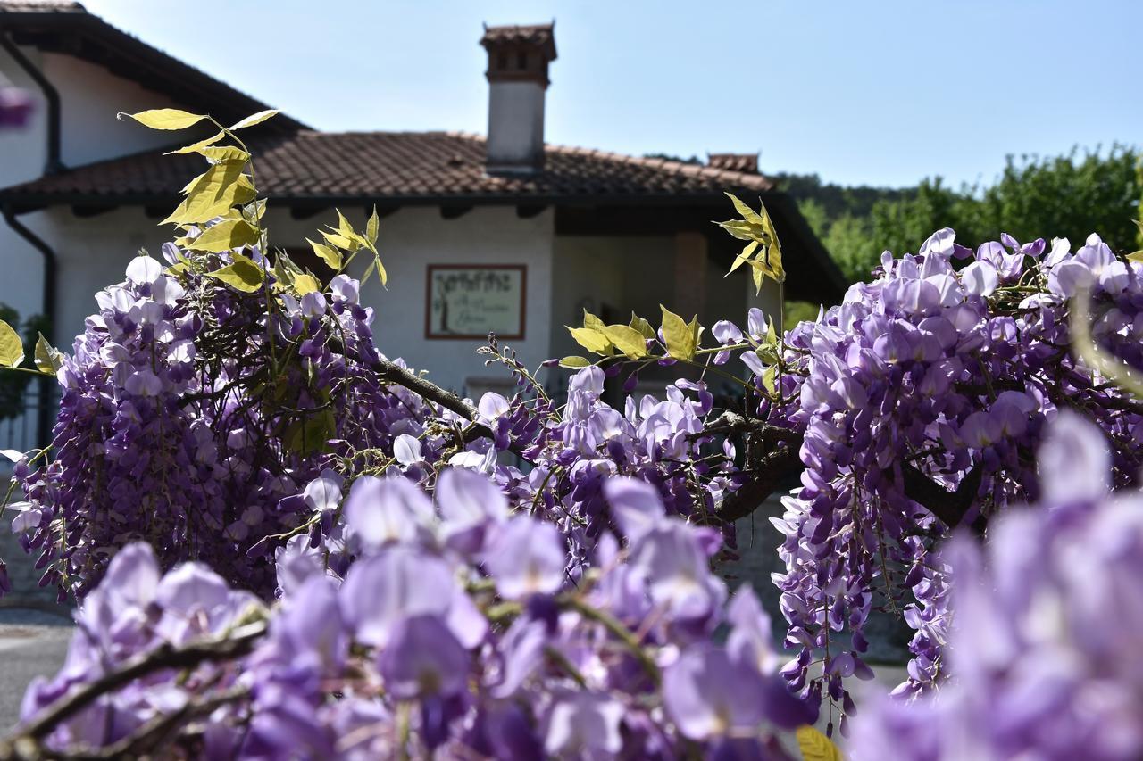 Bed and Breakfast Al Vecchio Glicine Gabria Экстерьер фото